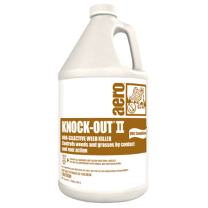 Knock-Out II