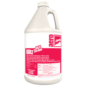 Blitz